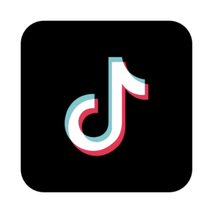 TikTok Ads Training 