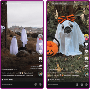 This image has an empty alt attribute; its file name is Ghost-trend-3-300x296.png