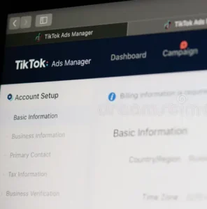 TikTok Ads 101: How To Create Ads That Convert
