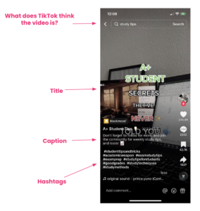 Optimising TikTok SEO With TikTok Search